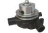 Water Pump Assembly Massey Ferguson 1040 (Tafe) MF 65 MKI 1 / MF 165