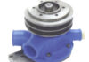 Water Pump Assembly Ruston 4YD (With & Without Plate)