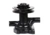 Water Pump Assembly Sonalika O/M HG-453 Model