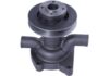 Water Pump Assembly Sonalika N/M (ITL Model) with Small Pulley