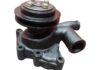 Water Pump Assembly Swaraj 939