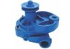 Water Pump Assembly CIFA with Base Plate